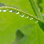 きもの”浪漫紀行”