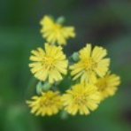 一日一日を大切に