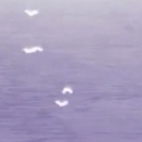 [東方]大妖精の後のパタパタ精霊(仮)