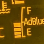 豆柴麦うた日記