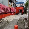 穏やかな１日
