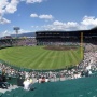 【画像】甲子園で開催の全国高校女子野球選手権、優勝校の「神戸弘陵」の円陣が最高にエモくて青春だと感動の嵐！こんなん泣くわ！