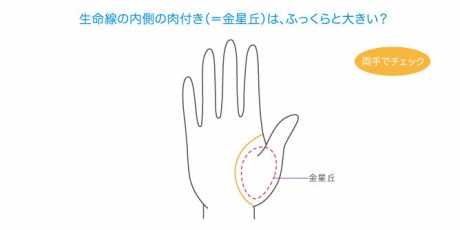 ヨルコ ヨルタ 10年09月