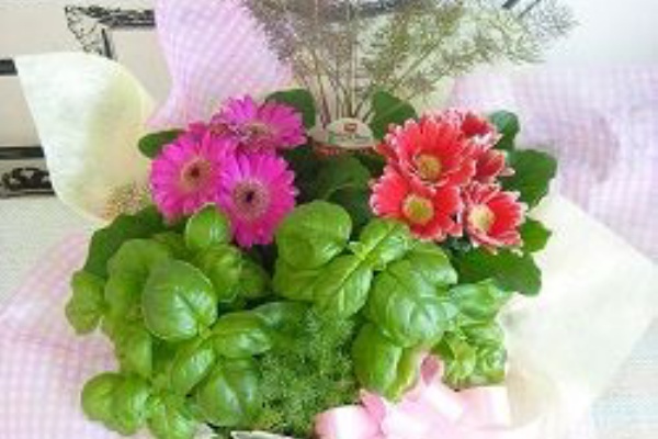 花屋クラルテ ブログ ファレノ