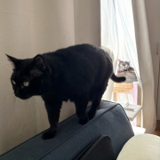 苦しそうな体勢で寝るアヤちゃん