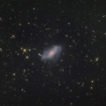 きりん座　NGC2146