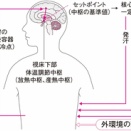 気温と身体の大きさ？
