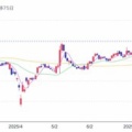 エスリード：カタログギフト 2025年3月権利(8877)