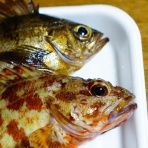 橋を渡ると、そこは･･･。No3 淡路島をぶらぶら