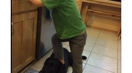 米政治家、息子が犬を踏む画像を投稿して炎上 → 「食ってないからいいだろ」と釈明して火に油を注ぐｗｗｗｗｗ