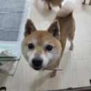 お名前投票☆