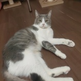 『ままちゃんとのお別れ😢』の画像