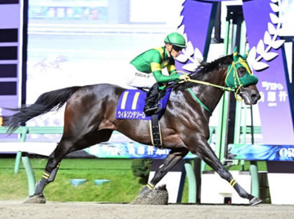 【競馬予想】[3] 第43回フェブラリーステークス(GⅠ) /2026