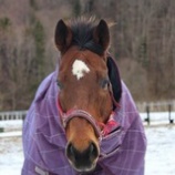 『前髪』の画像