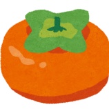 『【速報】柿、うまい』の画像