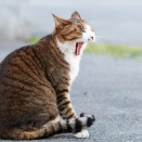 素直になってみて☝️