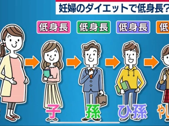 【警告】妊婦「痩せなきゃ（使命感）」→子孫が低身長化