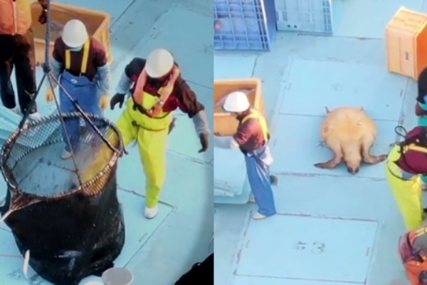 海外反応 I Love Japan 日本全般