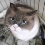 『10月31日（土）～11月1日（日）の営業について』の画像