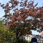 さつきヶ丘保育園