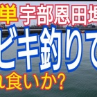 رΥ٤β