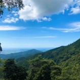 『気温３５度！神奈川県の大山を登って来た！』の画像