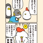毎日でぶどり