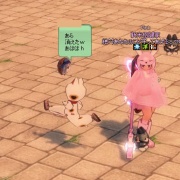 ティルコネイルミニドール選択ボックス ﾟdﾟ マナビノギ