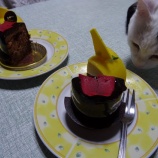 『ベルギーのケーキはうまい』の画像