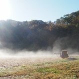 『【新穂潟上】もやっと立ち込めるのは』の画像