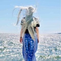 海