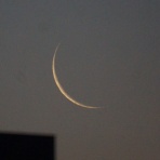 船と花と風景と