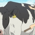 【悲報】酪農家さん、スヤスヤ寝ている牛への発言がド畜生すぎると炎上