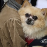 『12月18日(土)〜19日(日)のオープンについて』の画像