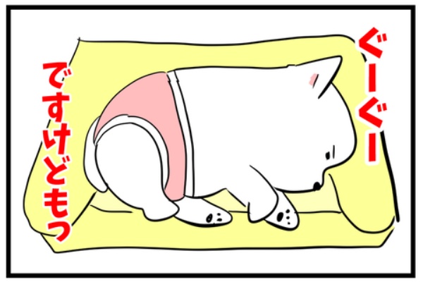 🐶ちーちゃんが反応する音🐾 : ちーちゃんっ🐾