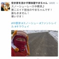 スノーシューレース
