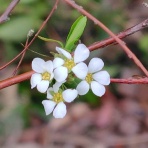 京都❤山里に暮らす