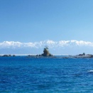 富山湾の海の幸が美味しい理由とは？
