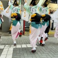 大盛り上がりな「第50回 神奈川大和阿波おどり」1日目のようす【やまとぴフォト】