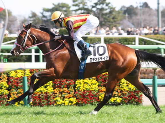 【競馬予想】 第44回ニュージーランドトロフィー(GⅡ) /2026