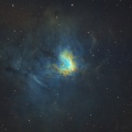 ペルセウス座　NGC1491