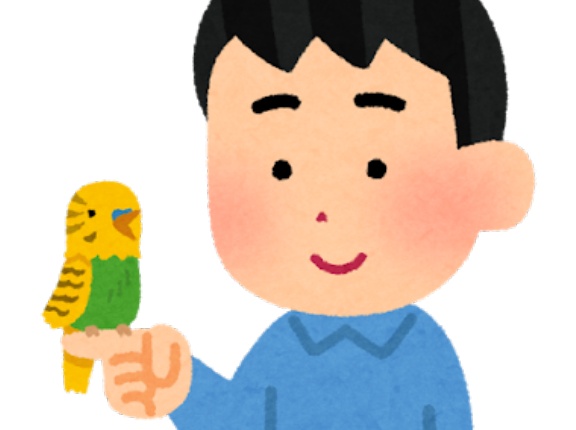 飼ってたインコがしんでもうた😭
