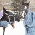 グランデラバーの会