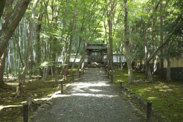 地蔵院 @ 京都