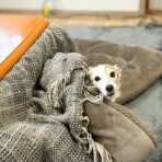 華・あず＆レン