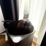 毎日が発見ネット掲載のお知らせ