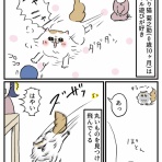 桃金兄弟と母の日常