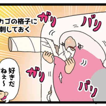 お店の鳥さんに日々のちょっとしたプレゼント🎁