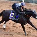 占い競馬予想　高松宮記念