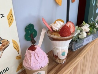 2月5日オープン！果物を混ぜ込んだブレンダーソフトはリピ確定「カバとコトリ」